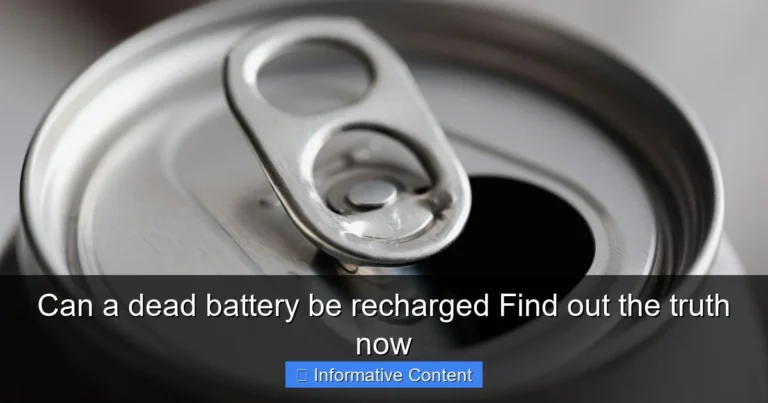 Can a dead battery be recharged Find out the truth now
