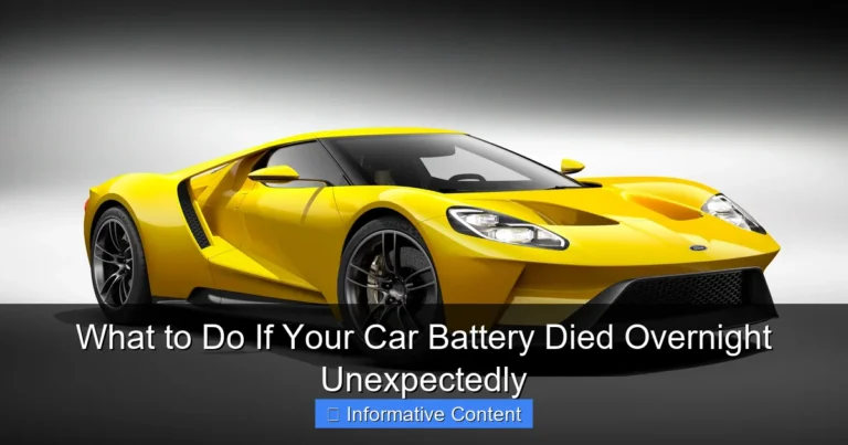 What to Do If Your Car Battery Died Overnight Unexpectedly