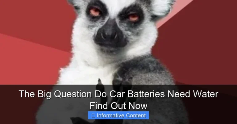 The Big Question Do Car Batteries Need Water Find Out Now