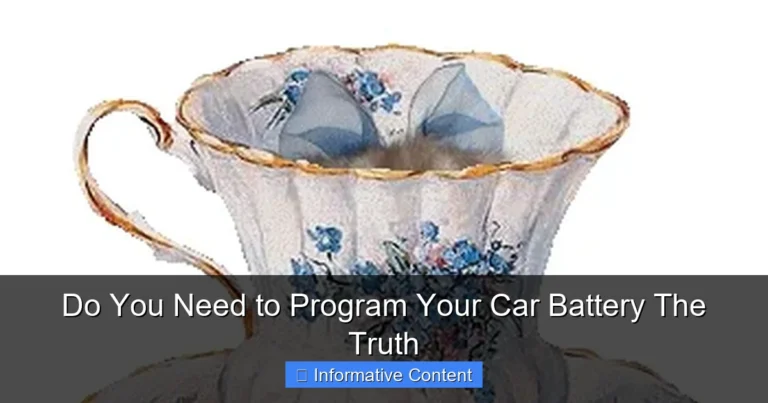 Do You Need to Program Your Car Battery The Truth