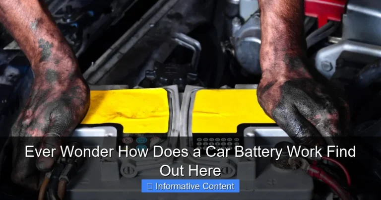 Ever Wonder How Does a Car Battery Work Find Out Here