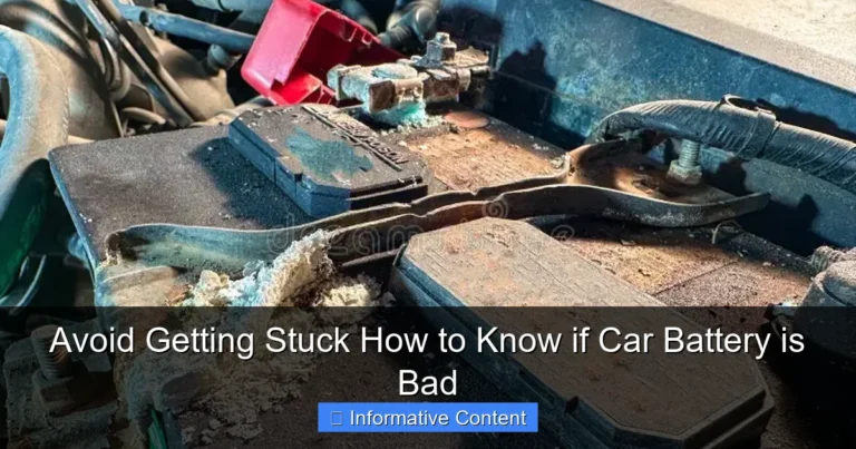 Avoid Getting Stuck How to Know if Car Battery is Bad