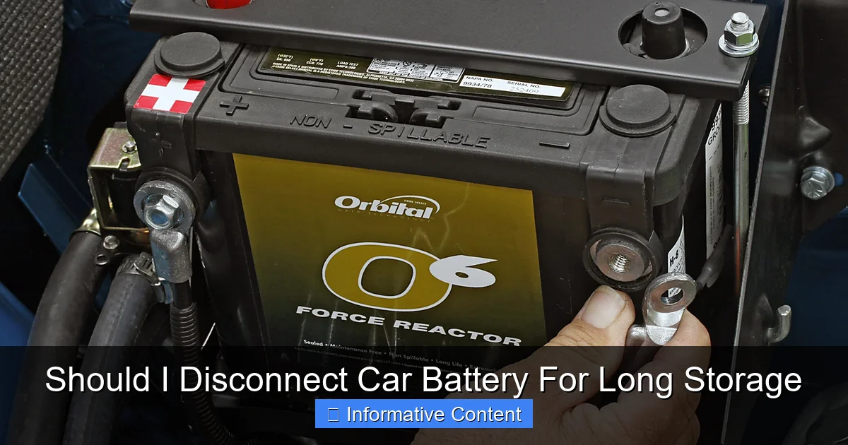 Should I Disconnect Car Battery For Long Storage