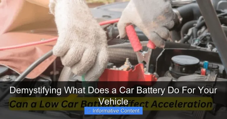 Demystifying What Does a Car Battery Do For Your Vehicle