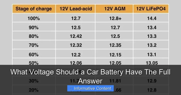 What Voltage Should a Car Battery Have The Full Answer