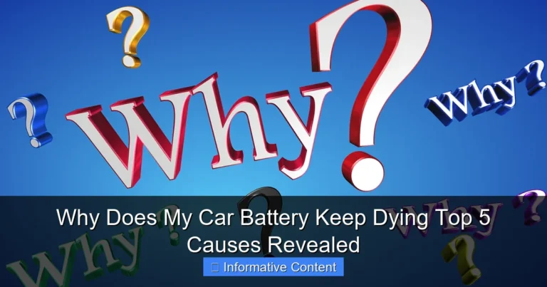 Why Does My Car Battery Keep Dying Top 5 Causes Revealed